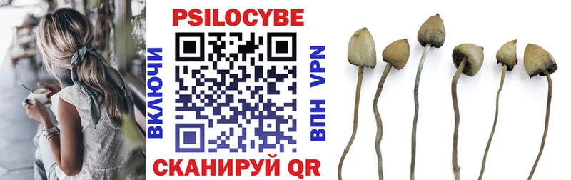 Галлюциногенные грибы прущие грибы  Купить  Фёдоровский 